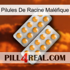 Pilules De Racine Maléfique levitra2